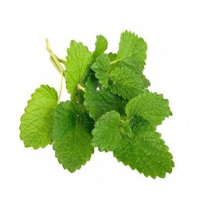 lemon-balm